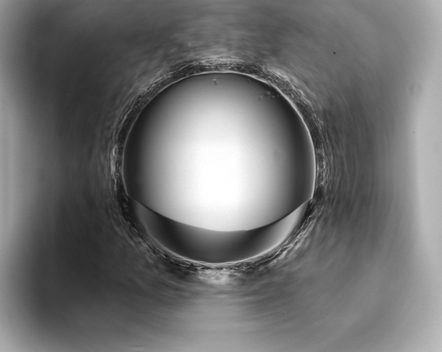 X0000094381157200711021221
