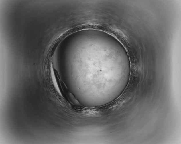 X0000094381159200711021221