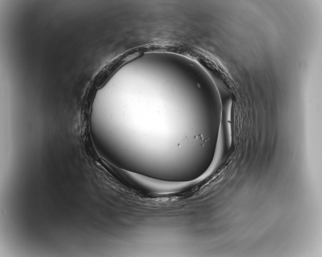 X0000094381160200711021221