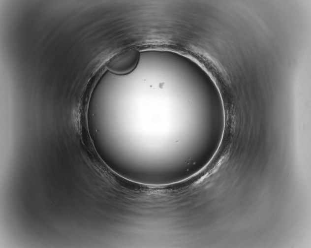 X0000094381162200711021221