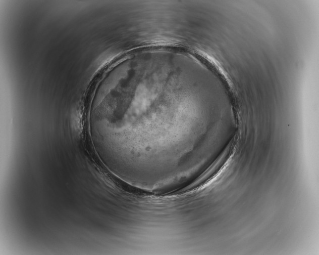 X0000094381163200711021221