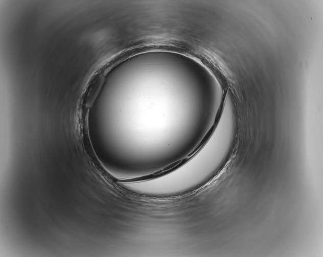 X0000094381164200711021221