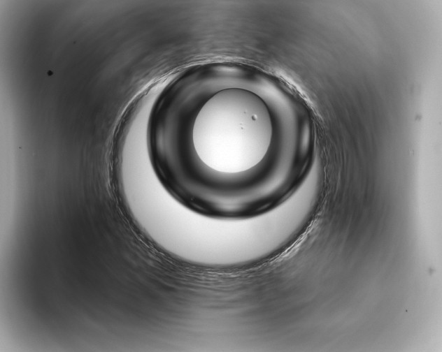 X0000094381165200711021221