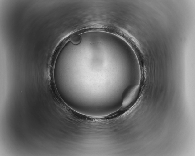 X0000094381166200711021221