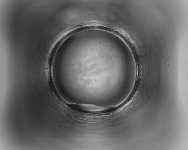 X0000094381167200711021221