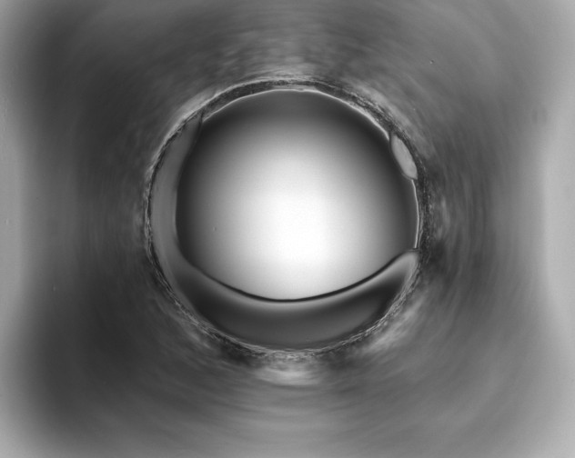 X0000094381168200711021221