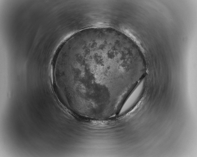 X0000094381171200711021221