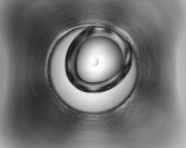 X0000094381172200711021221
