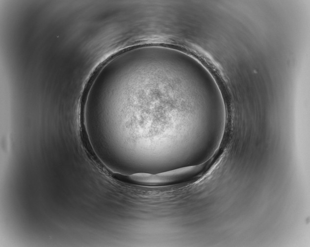X0000094381174200711021221