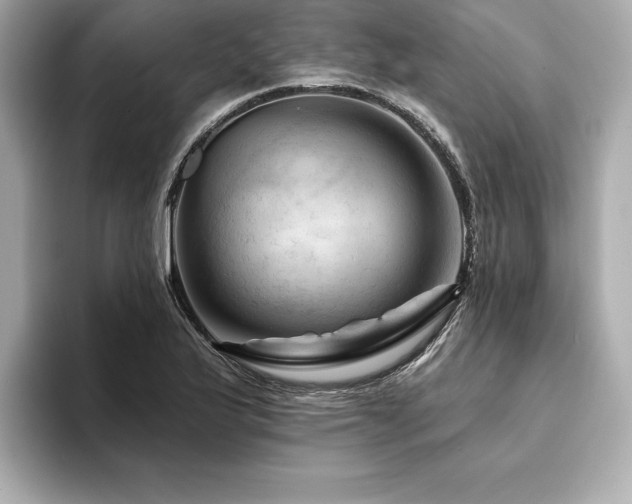 X0000094381175200711021221