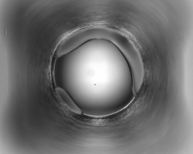 X0000094381176200711021220