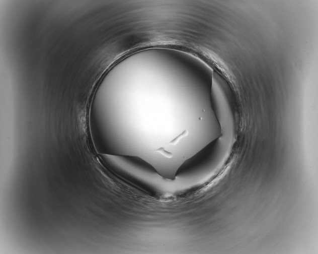 X0000094381177200711021220