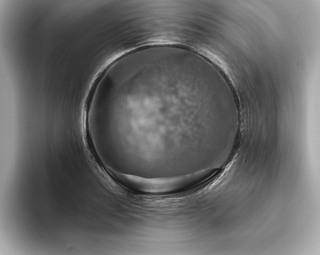 X0000094381179200711021220