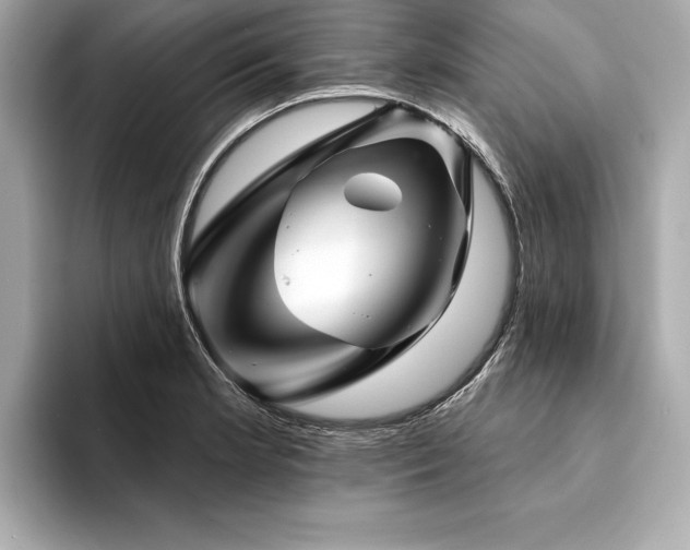 X0000094381181200711021220
