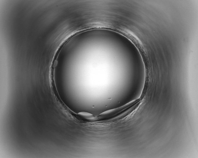 X0000094381182200711021220