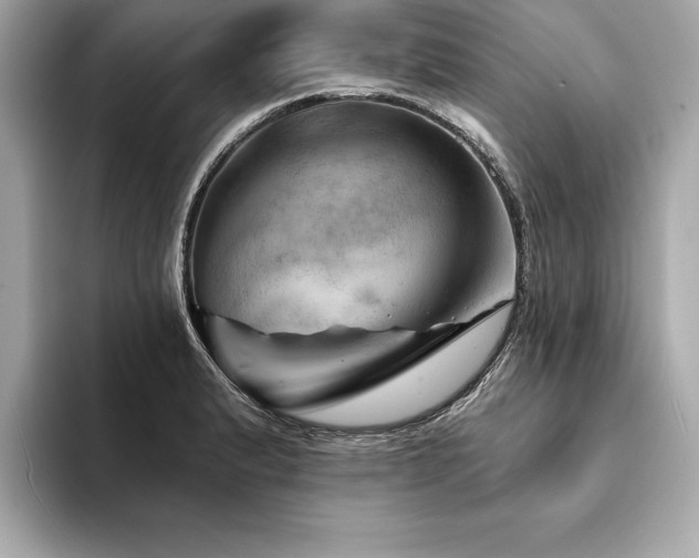 X0000094381183200711021220