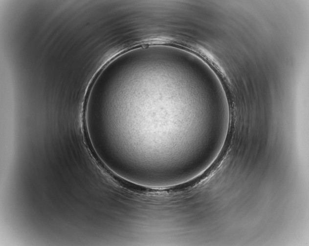 X0000094381186200711021220