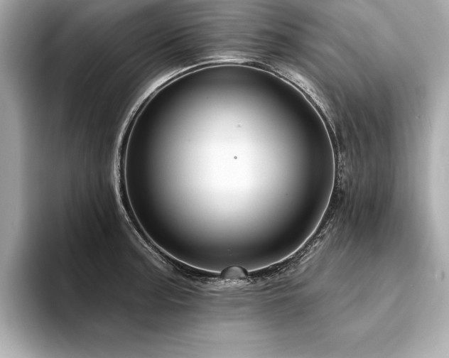 X0000094381187200711021220