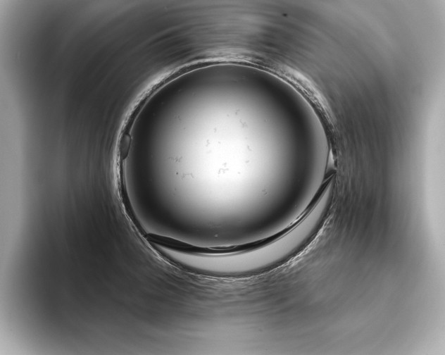 X0000094381188200711021220