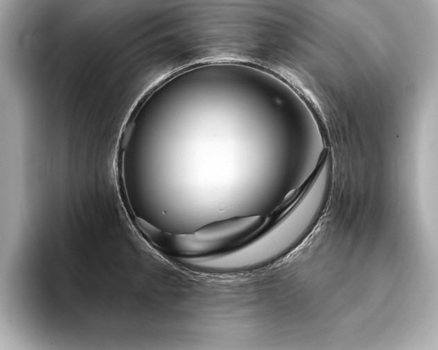 X0000094381189200711021220
