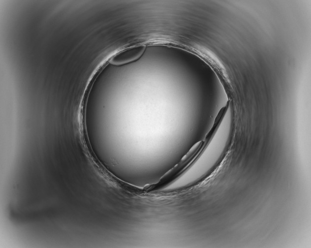 X0000094381190200711021220