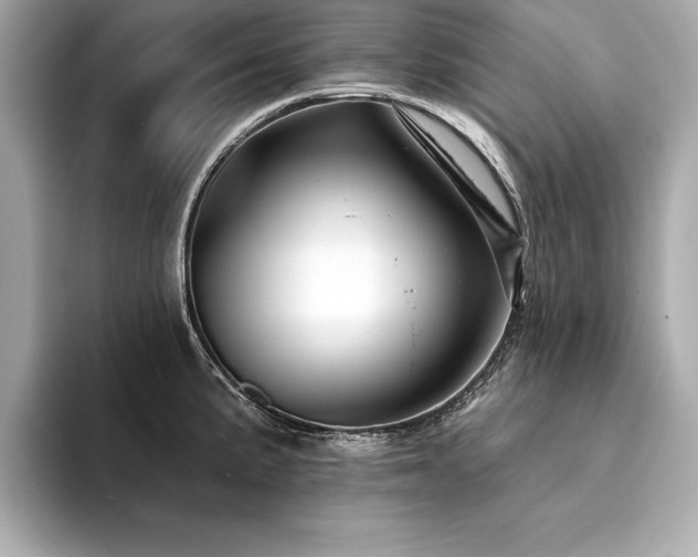 X0000094381191200711021220