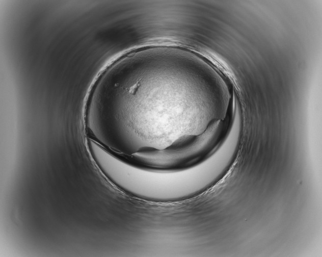 X0000094381192200711021220