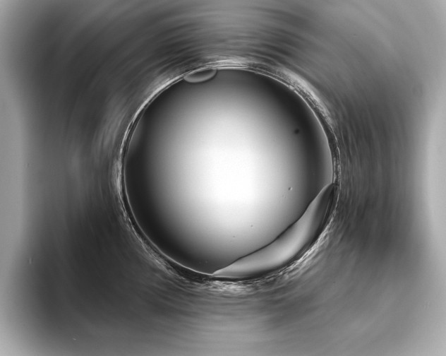 X0000094381194200711021220