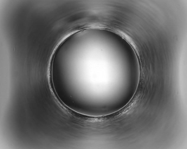 X0000094381195200711021220