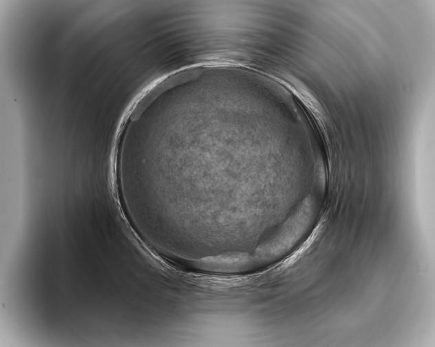 X0000094381196200711021220