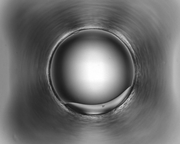 X0000094381197200711021220