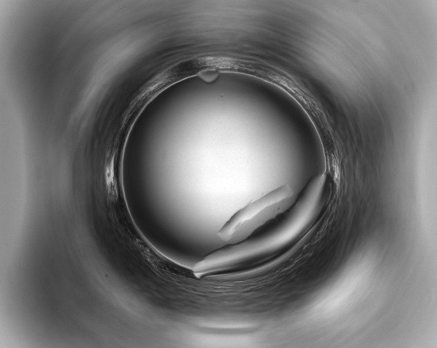 X0000094381198200711021220
