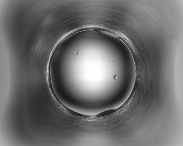 X0000094381199200711021220