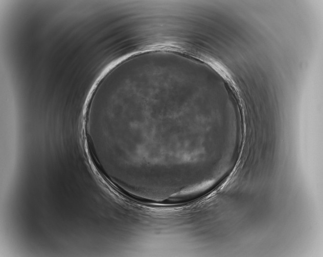 X0000094381200200711021220