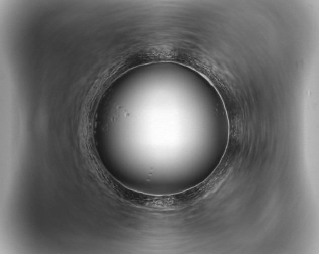 X0000094381201200711021220
