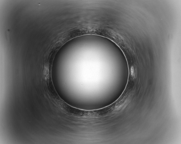 X0000094381203200711021220