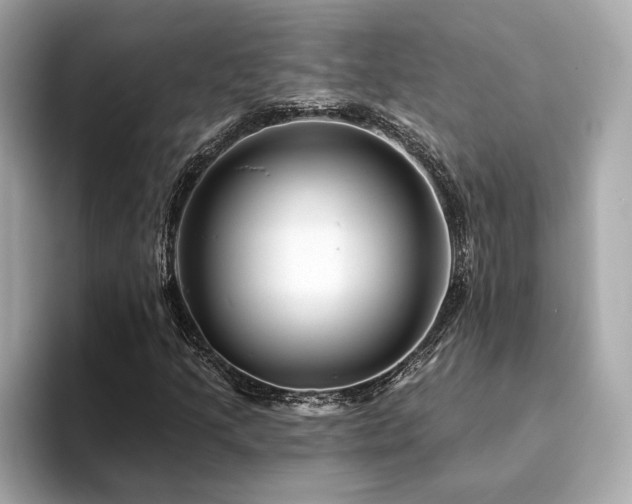 X0000094381205200711021220