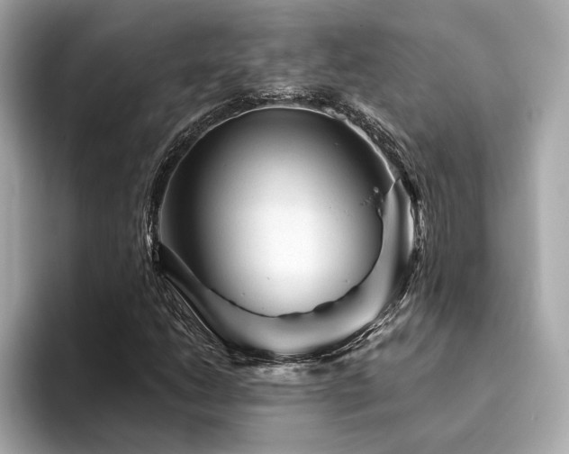 X0000094381206200711021220