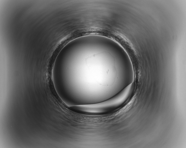 X0000094381210200711021220