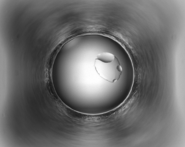 X0000094381211200711021220