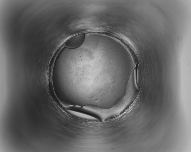 X0000094381212200711021220