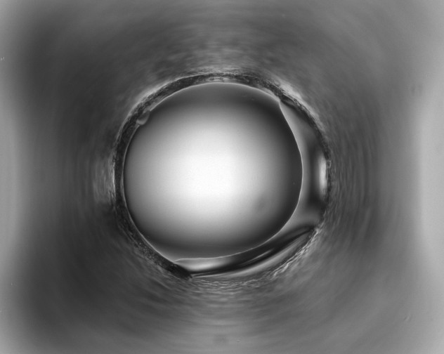 X0000094381214200711021220