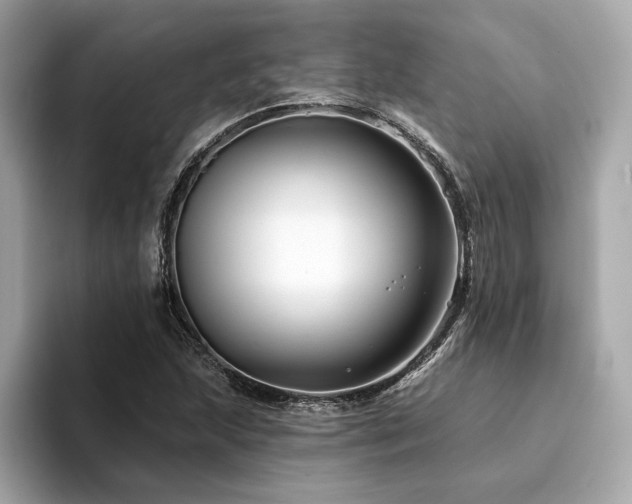 X0000094381215200711021220