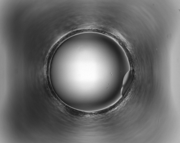 X0000094381216200711021220
