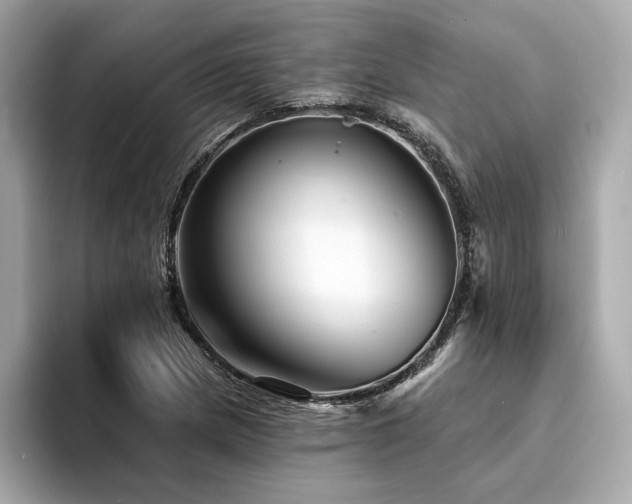 X0000094381217200711021220