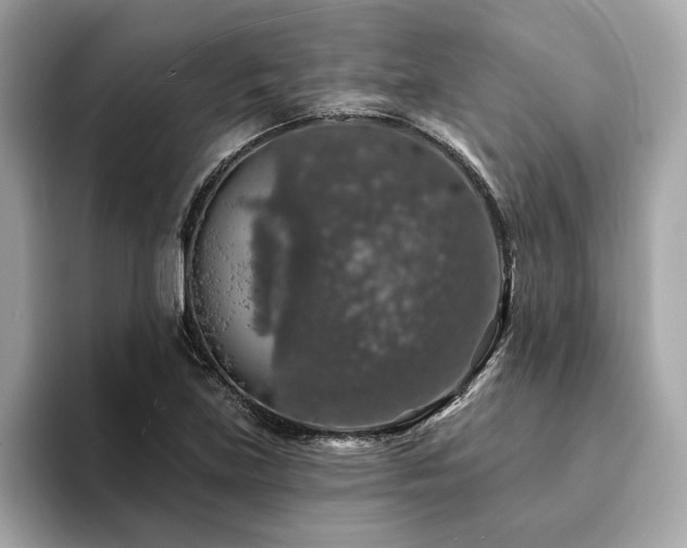 X0000094381219200711021220