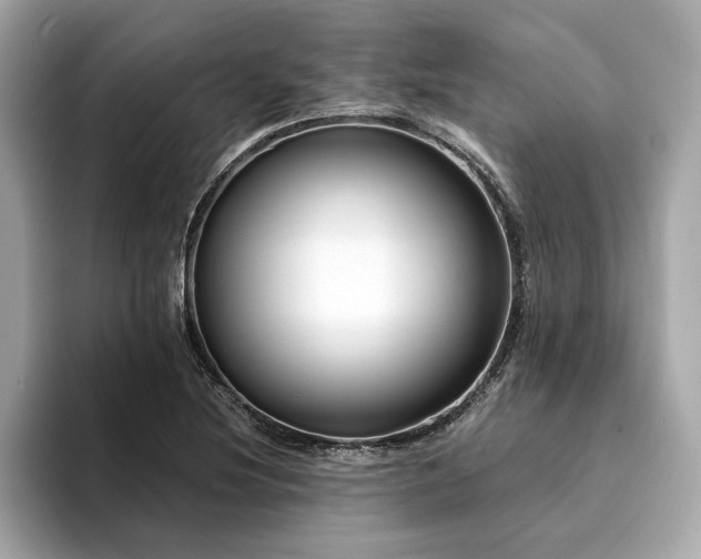 X0000094381220200711021220