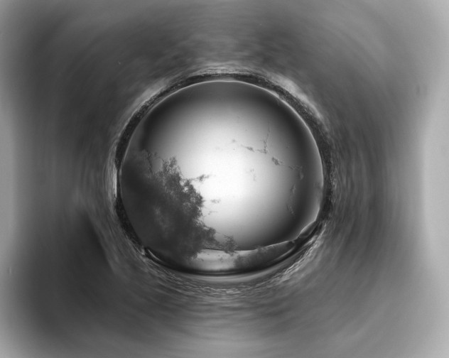 X0000094381221200711021220