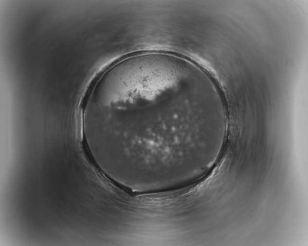 X0000094381223200711021220
