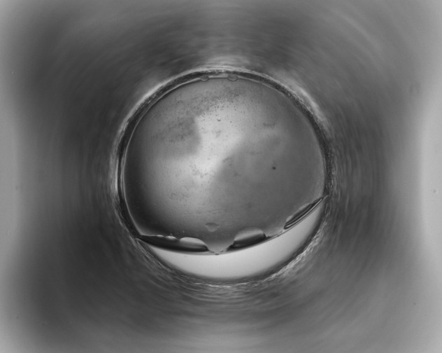 X0000094381224200711021220